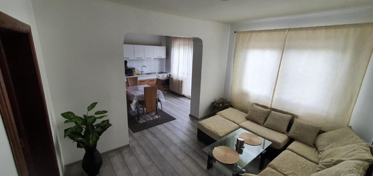 Orşova Casa Alex Si Daiana 아파트 외부 사진
